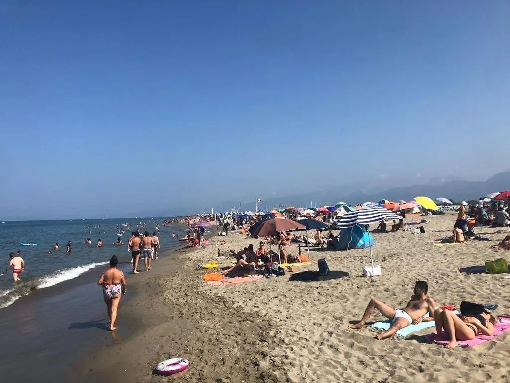 Mobile Home Viareggio - Camping Paradiso- Including Airco -Zona Gialla 016 意大利