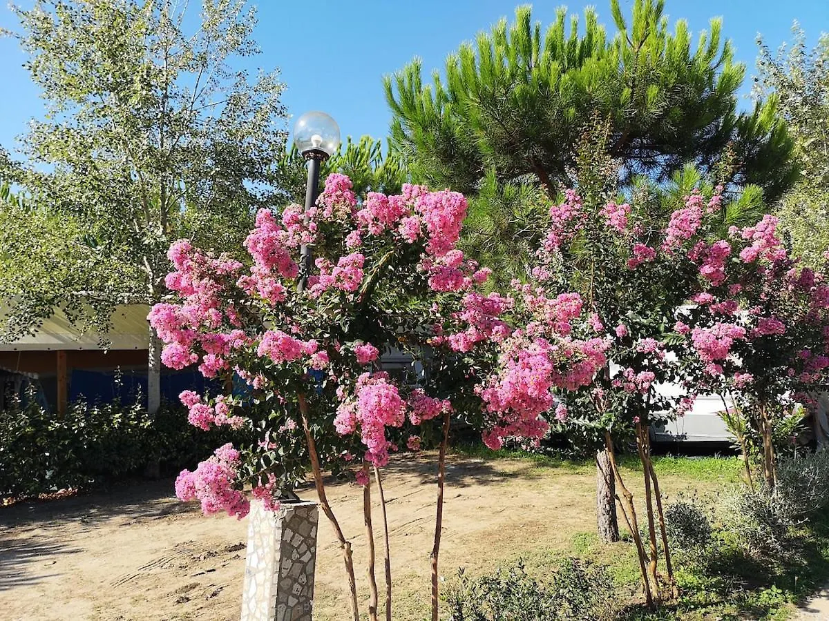 Mobile Home Viareggio - Camping Paradiso- Including Airco -Zona Gialla 016